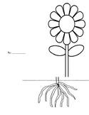 Parts of a Flower Booklet