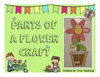 Preview of Parts of a Flower CRAFT