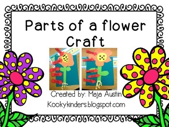 Preview of Parts of a Flower Craft