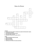 Parts of a Flower Crossword