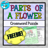 Parts of a Flower Crossword Puzzle Worksheet FREEBIE!