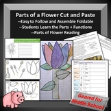 Parts of a Flower Cut and Paste Foldable Activity
