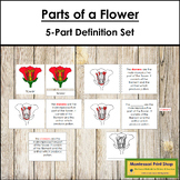 Parts of a Flower Definition Set (red highlights) - Montes