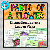 Parts of a Flower Dissection Lab Lesson Plans and Handouts