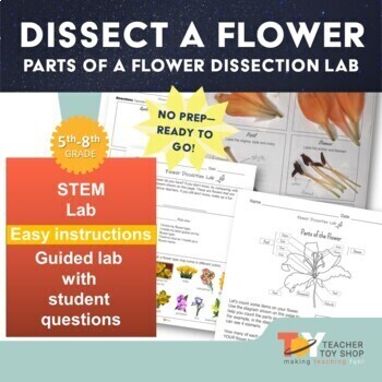 Preview of Parts of a Flower Dissection Science Lab