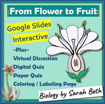 Preview of The Parts of a Flower Drag & Drop Digital Interactive- Virtual Dissection Lab