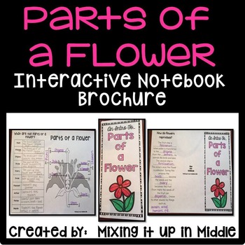 Preview of Parts of a Flower Interactive Notebook Brochure