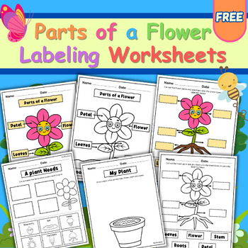 Preview of Parts of a Flower Labeling Worksheets Cut and Paste - Spring Activities.