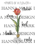 Parts of a Flower Lesson Poster