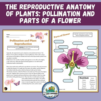 Preview of Parts of a Flower, Pollination and Fertilization of Plants, Spring Activity