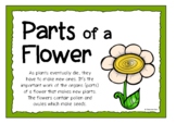 Parts of a Flower Poster Set/Anchor Charts including Label