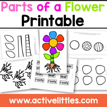 Preview of Parts of a Flower Printable