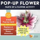 Preview of Parts of a Flower Hands-On STEAM Activity for science and Mother's Day Craft