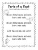 Parts of a Flower Song (Sung to Head, Shoulders, Knees, and Toes) FREEBIE!