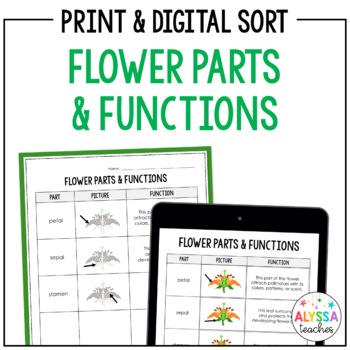 Preview of Parts of a Flower Sorting Activity