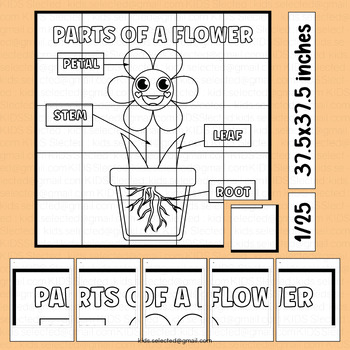 Tri-fold Poster Board Template by Mrs Quengas TpT Store