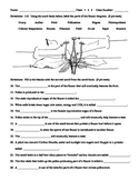 Flower Parts, Cellular Resp. and Photosynthesis test with 