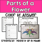 Parts of a Flower Vocabulary Review Color by Answer