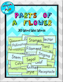 Parts of a Flower Word Wall pack