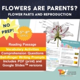Parts of a Flower and Plant Reproduction Activities | Prin