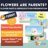Parts of a Flower and Plant Reproduction Presentation