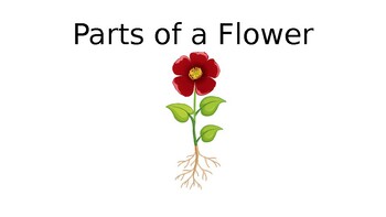 Preview of Parts of a Flower book