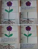 Parts of a Flowering Plant Flip Book