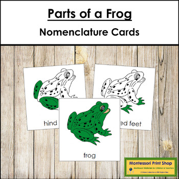 Preview of Parts of a Frog 3-Part Cards - Montessori Nomenclature