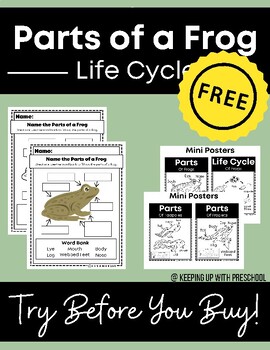 Preview of Parts of a Frog | Frog Life Cycle | Spring | Science | FREE
