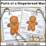 Parts of a Gingerbread Labeling Activity