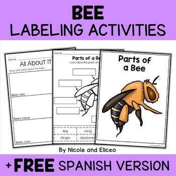 Preview of Parts of a Honey Bee Activities + FREE Spanish