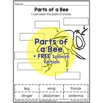 Parts of a Honey Bee Interactive Worksheet Activity + FREE Spanish