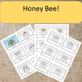 Parts of a Honey Bee Booklets Montessori Preschool Homesch
