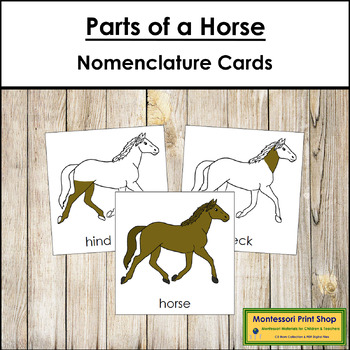 Preview of Parts of a Horse 3-Part Cards - Montessori Nomenclature