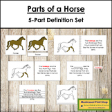 Parts of a Horse Definition Set - Montessori Nomenclature