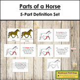 Parts of a Horse Definition Set (red highlights) - Montess