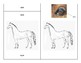 Parts of a Horse - Montessori-Three Part Cards | TpT