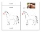 Parts of a Horse - Montessori-Three Part Cards | TpT