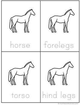 Parts of a Horse Nomenclature Cards by Montessori Nature | TPT