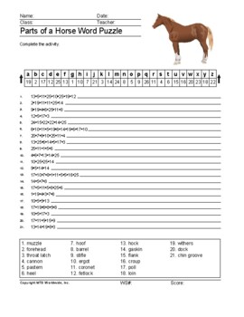 parts of a horse word search worksheet and vocabulary puzzle printables