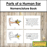 Parts of a Human Ear Book - Montessori Nomenclature