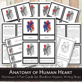 Parts of a Human Heart Learning Pack