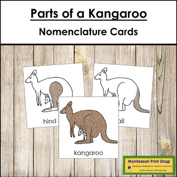 https://ecdn.teacherspayteachers.com/thumbitem/Parts-of-a-Kangaroo-3-Part-Cards-Montessori-Nomenclature-1163288-1692254472/original-1163288-1.jpg