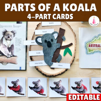 Preview of Parts of a Koala Montessori 4-part Cards | Animal of Australia Oceania Continent