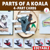 Parts of a Koala Montessori 4-part Cards | Animal of Austr