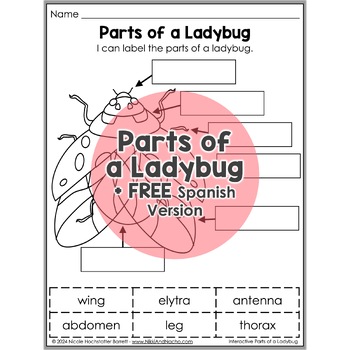 Parts of a Ladybug Interactive Worksheet Activity + FREE Spanish