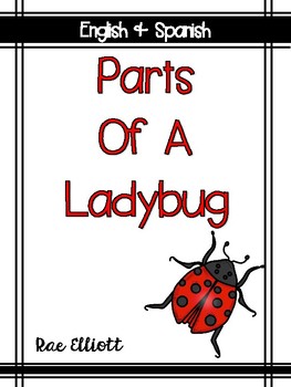 Parts Of A Ladybug Teaching Resources | Teachers Pay Teachers