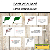 Parts of a Leaf Definition Set (red highlights) - Montesso