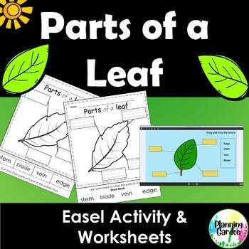Preview of Parts of a Leaf | Leaf Labeling {leaf, fall, spring, earth day}