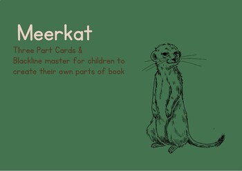 Preview of Parts of a Meerkat Three Part Cards